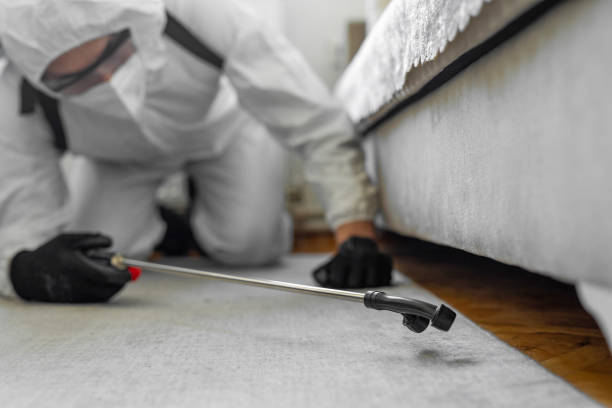 Professional Termite Control technician working in Pacific, MO